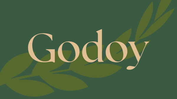 Godoy Law Center Logo